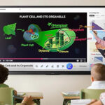 Teacher explains a labeled diagram of a plant cell and its organelles on a large interactive whiteboard while students watch from desks.